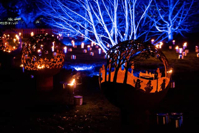 Fire Garden, My Christmas Trails 2021. Photo by Kat Gollock