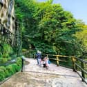 Visitors to Mother Shiptons Cave & Dropping Well