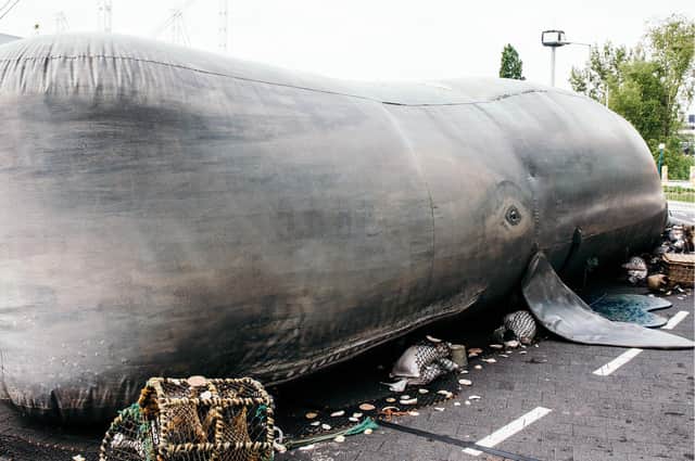 A gigantic 18 metre whale accompanied by its scuba diving hosts will entertain and educate families about sea life preservation at Harrogate’s Valley Gardens.