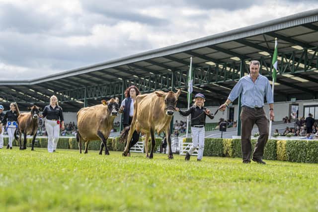 14 July 2021.....   Great Yorkshire Show Day 2 Wednesday.
Young Bethany Wood with her Jersey cow  in the main ring paraded showing the dairy herds at the show.  . Picture Tony Johnson
