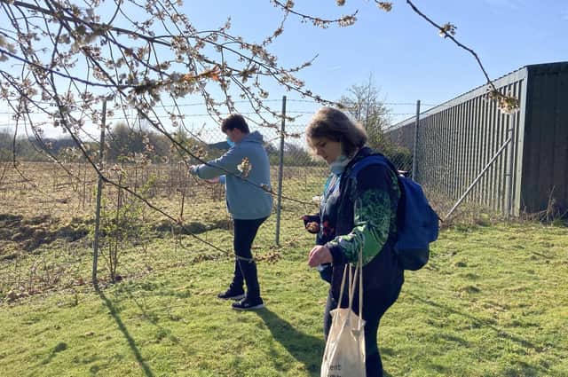 Harrogate College's 'Green Month' will kick off with a presentation on sustainable technology, plus a litter pick, next Tuesday, March 8.
