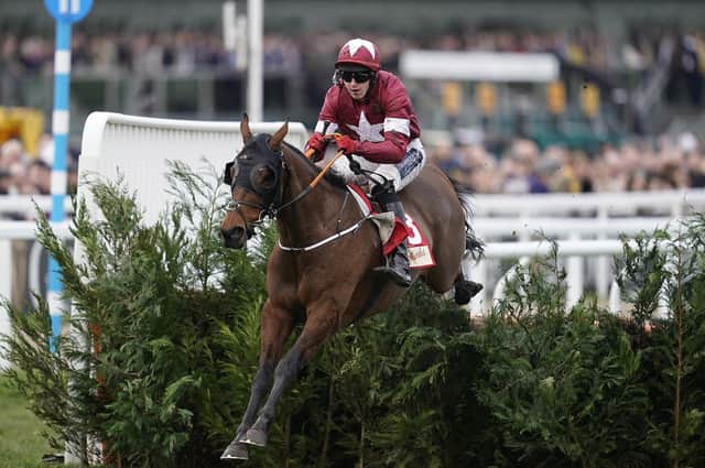 Jeff Garlick expects Tiger Roll to enjoy more Cheltenham Festival success this year. Picture: Getty Images