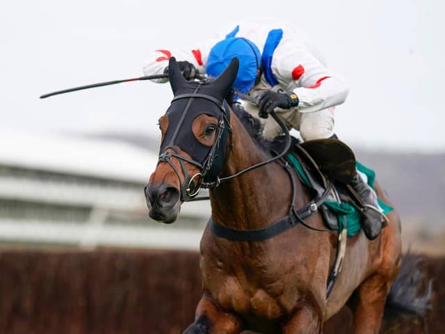 Protektorat is Jeff Garlick’s tip to win this year’s Cheltenham Gold Cup. Picture: Getty Images
