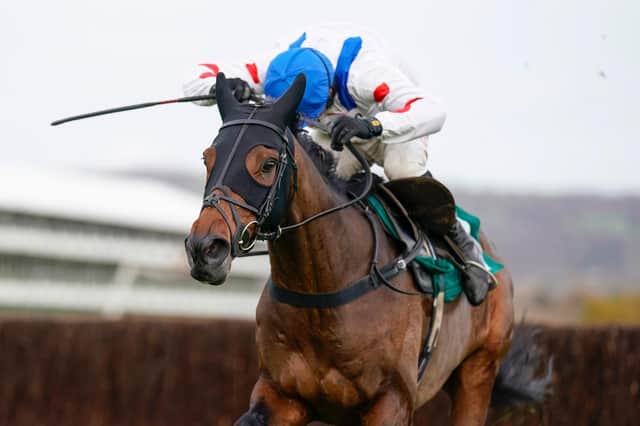 Protektorat is Jeff Garlick’s tip to win this year’s Cheltenham Gold Cup. Picture: Getty Images