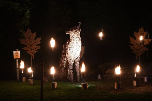 One of the light installations in the Valley Gardens