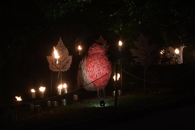 One of the light installations in the Valley Gardens