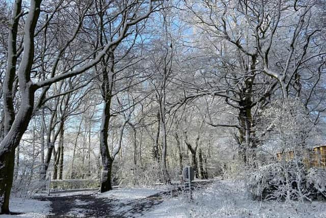 Snow overnight and this morning has caused disruption across the Harrogate district, with a yellow weather warning for ice in place until 10am tomorrow morning (Credit: Ree Mac)