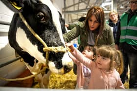 Springtime Live returns to the Great Yorkshire Showground on Saturday, with fun for all the family