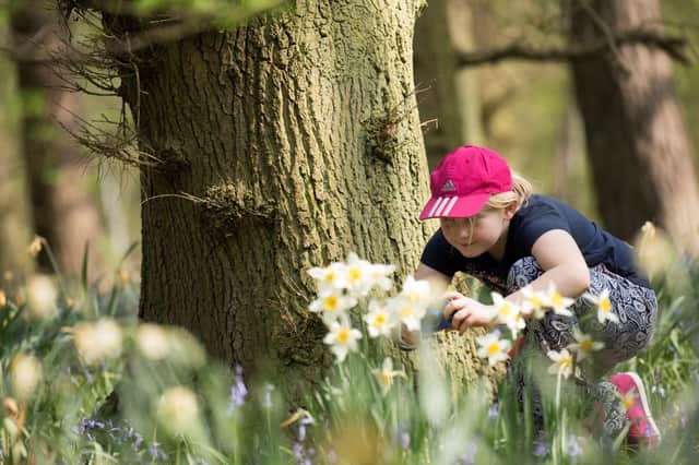 A cracking time can be had at RSPB reserves in Yorkshire this Easter holidays, with egg-themed adventures, wildlife activities and nature spectacles guaranteeing a fun-filled day out for all the family