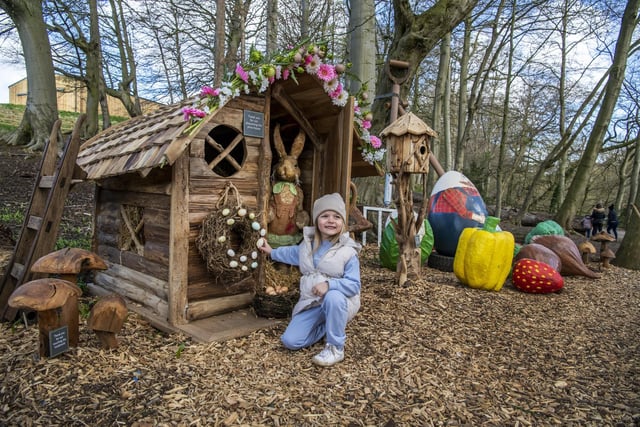 Hop along to Mother Shipton’s during the Easter Holidays for an EGG-CEPTIONAL time (April 2 to April 24) - There’s something for the whole family at England’s oldest tourist attraction including a Bunny Door Trail, large children’s adventure playground, museum and gift shop