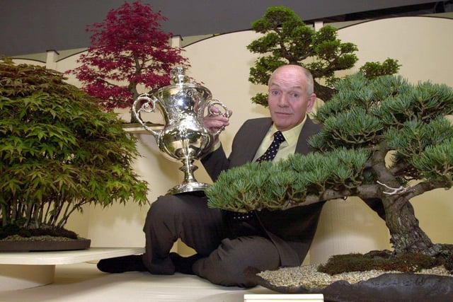 Winner of the Best in Show trophy is Louis Hawksby of North of England Bonsai, York at the Harrogate Spring Flower Show.
