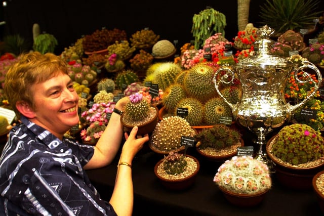The winner of 'The Premier Award' at the Harrogate Spring Flower show are Cactusland at Southfield Nurseries,  Lincolnshire with Linda Goodey showing off one of their specimens next to the winning trophy.