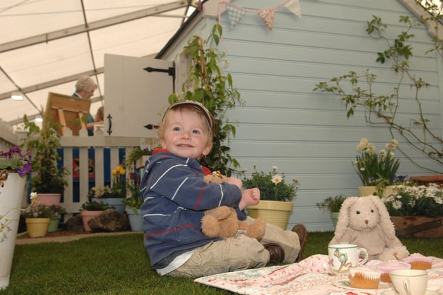 22/4/10   Thomas Roberts 2 from York takes a liking to the  teddy bears picnic on the Gold Award winning  entry by Island Gardens from Strensall York, in the Landscape Garden Design competition at the  Harrogate Spring Flower show .