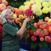 The popular Harrogate Spring Flower Show gets underway at the Great Yorkshire Showground from Thursday (April 21)