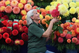 The popular Harrogate Spring Flower Show gets underway at the Great Yorkshire Showground from Thursday (April 21)