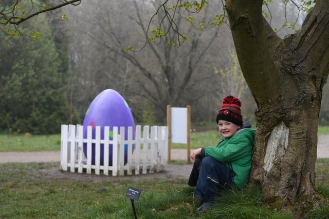 Four-year-old Finley Wood pictured with a giant Easter Egg