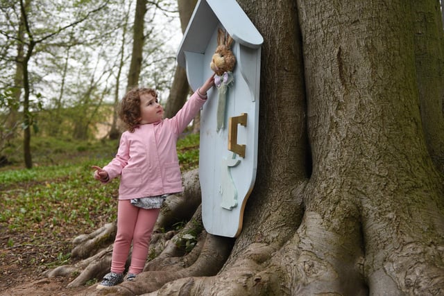 Two-year-old Aayla Clayton pictured at The Bunny Door Trail held at Mother Shipton's Cave in Knaresborough over the weekend