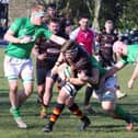 Declan Thompson, pictured in action against Wharfedale last month, returns to add his considerable presence to Harrogate RUFC's pack this weekend.
