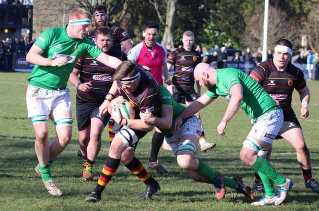 Declan Thompson, pictured in action against Wharfedale last month, returns to add his considerable presence to Harrogate RUFC's pack this weekend.