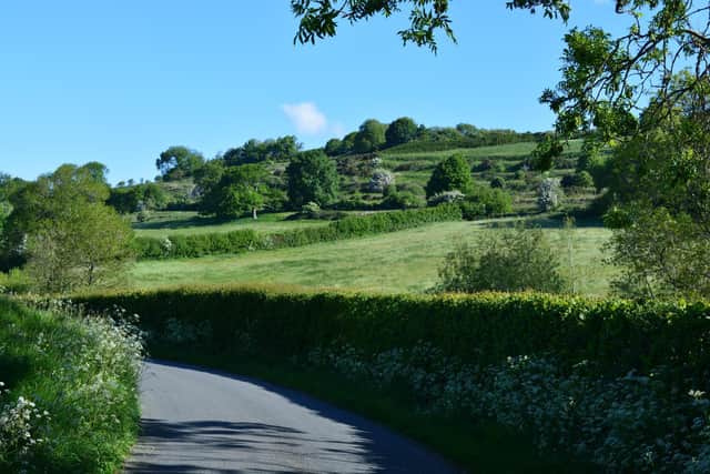 The RHS has secured funding to further explore hedges (photo: Adobe)