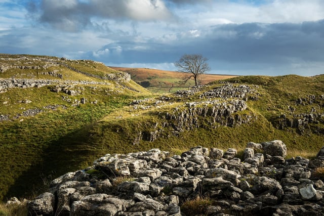 Lonely Planet voted Yorkshire third in the top ten world regions, behind destinations in India and Australia. The guide mentions Yorkshire’s “rugged moorland, heritage homes and cosy pubs”.