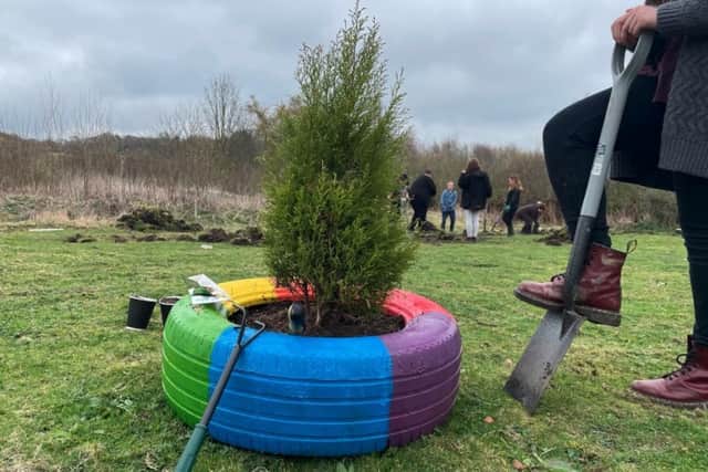 Harrogate College, which is already working with local employers to provide a range of green skills training - is also committed to planting new trees.