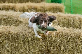 The Northern Shooting Show gets underway at the Yorkshire Event Centre in Harrogate this weekend