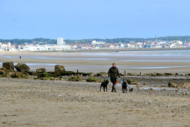 Finding a beach where your hounds can roam freely isn’t always easy, due to different seasonal restrictions applying to various beaches. Luckily, TripAdvisor users have come to the rescue and suggested that the most dog-friendly beaches in Yorkshire are ...
1 Mappleton Beach, East Riding.
2 Fraisthorpe Beach, Fraisthorpe, East Riding.
3 Cayton Bay Beach, North Yorkshire.
4 Saltburn Beach, North Yorkshire.
5 Filey Beach, North Yorkshire.