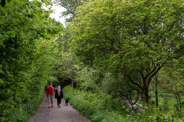 If a day at the beach isn’t for you, the other top dog-friendly places to visit for a day out are...
1 Oakwell Hall and Country Park, Birstall, West Yorkshire.
2 Guisborough Forest, Guisborough, North Yorkshire.
3 RSPB St Aidan’s Nature Park, Leeds, West Yorkshire.