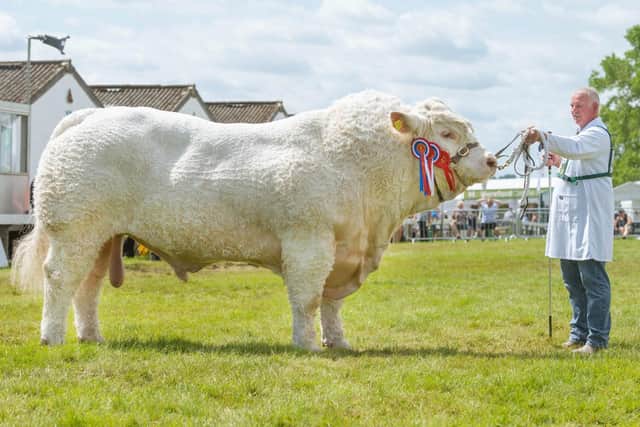 Cattle farmers from all over the world will be heading to the Great Yorkshire Show this July