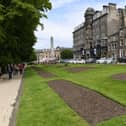 The empty flower beds are situated outside the Alexandra pub and The Yorkshire Hotel, opposite where the 'Jubilee Square' has been erected on the Stray.