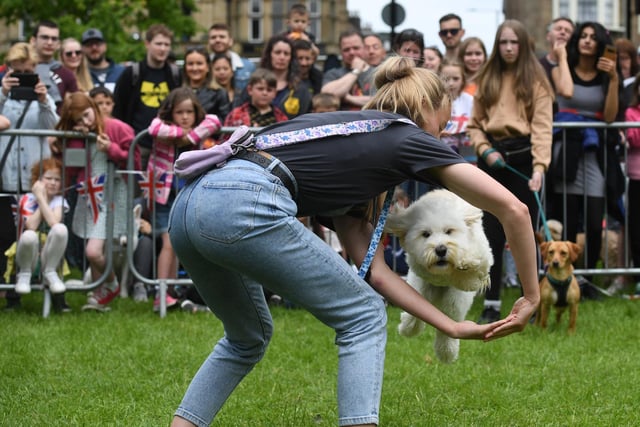 Pictured at the Jubilee Dog Show are 'Best Trick' owners with their pets.