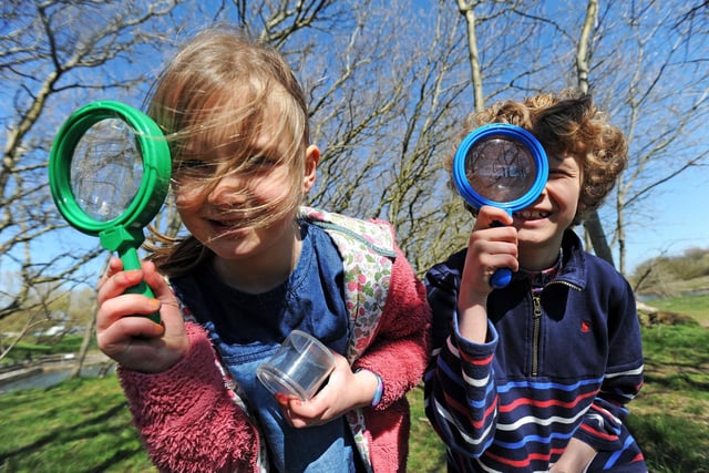 Wildlife Watch: We are all being encouraged to take part in Yorkshire Wildlife Trust‘s Great Yorkshire Creature Count.