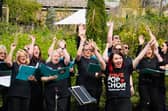 Love Pop Choir is launching its seventh Yorkshire ladies’ choir at Forest Moor & Calcutt Village Hall.
