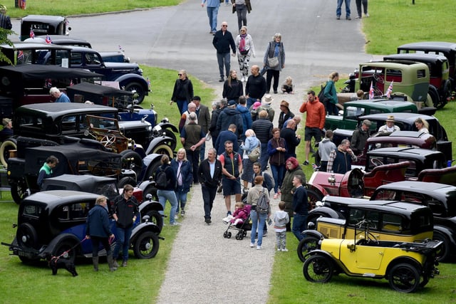 The vintage cars on display at the show