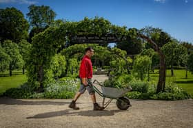 Checking out some of the best National Trust properties and gardens.