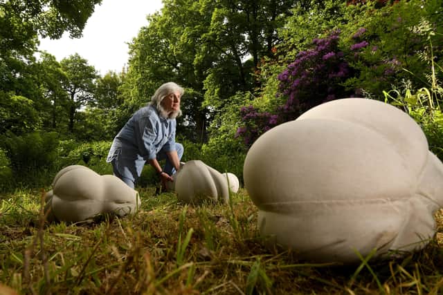 Contemporary Sculpture Trail at Newby Hall, Ripon..Fossil Fruits by Victoria Ferrand Scott...16th June  2022