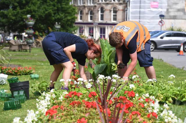 Harrogate Borough Council workers replanting the summer flower beds on the Stray in Harrogate. (Picture Gerard Binks)