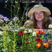 Sophie Leftley, of Harrogate, viewing a floral display created by Primrose Bank Nursery