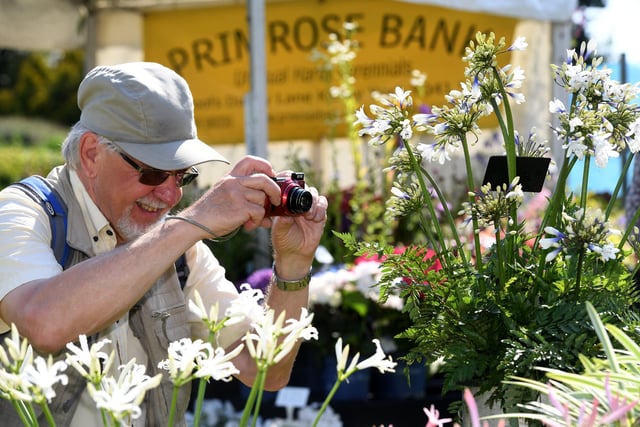 Paul Carter taking a photograph of the plants on display at the show