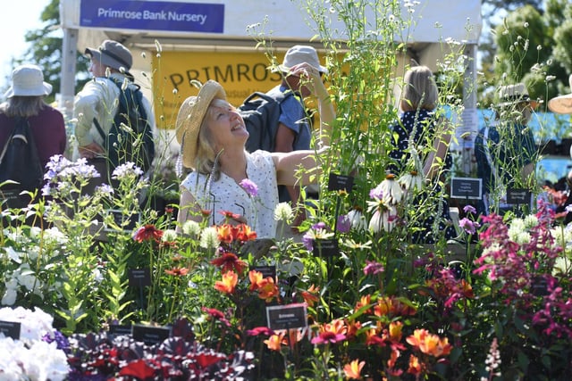 Barbara Hodkinson with some of the flowers on display at the show