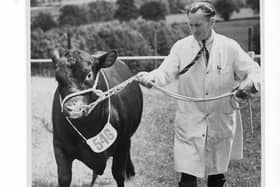 Tom Scaife with Harewood Leader @ Great Yorkshire Show held in Malton 1950