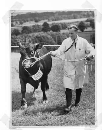 Tom Scaife with Harewood Leader @ Great Yorkshire Show held in Malton 1950