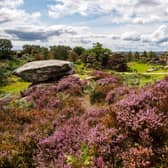 Brimham Rocks. Picture: Bruce Rollinson