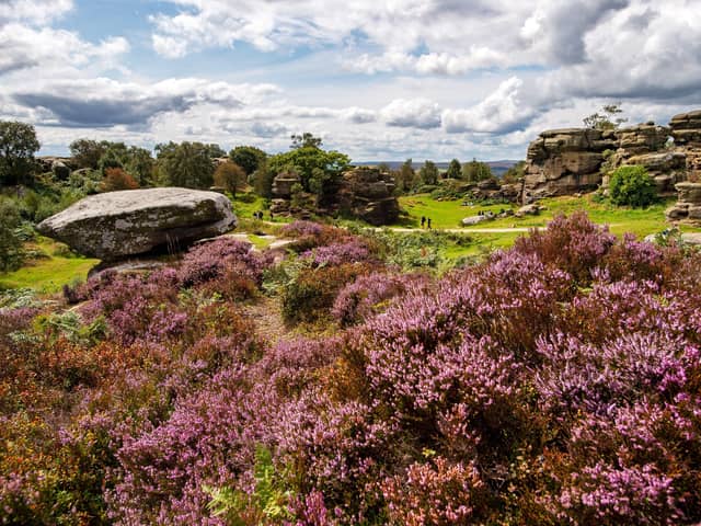 Brimham Rocks. Picture: Bruce Rollinson