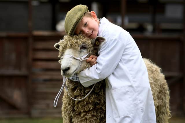 Samuel Brook (aged 7) from Selby hugs his Lincoln Longwool Ewe called Maggie after she came second in her class