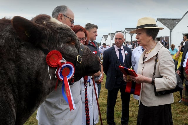 Princess Anne pictured visits the cattle on show