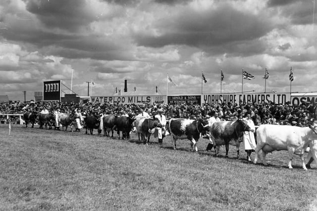 GREAT YORKSHIRE SHOW 1954

From Album