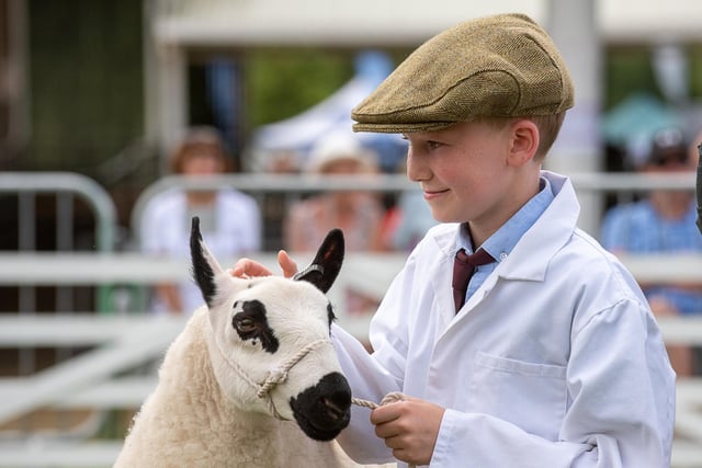 Young sheep handlers took to the Sheep Ring