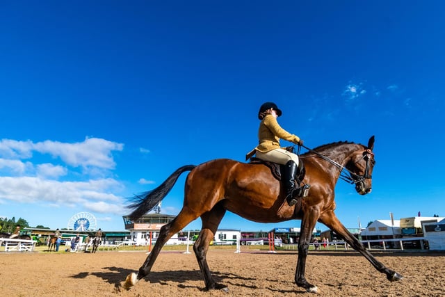 Maisy Mayo (aged 15) warmin up on her horse Lady Wivollet